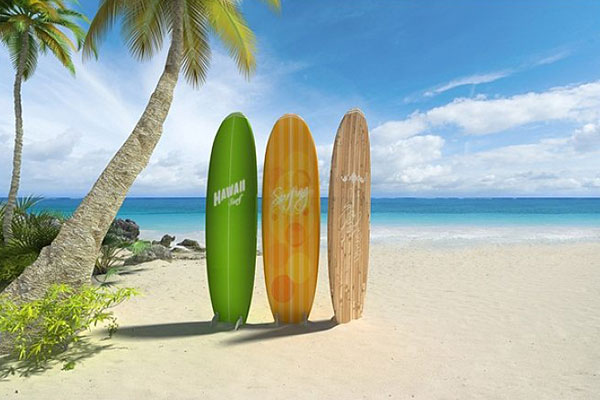 Pangunahing kaalaman at pagbili ng surfboard